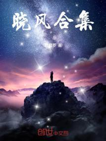 晓风txt