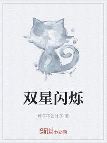 双星闪耀比喻什么