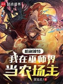 人在哈利波特这个巫师过于