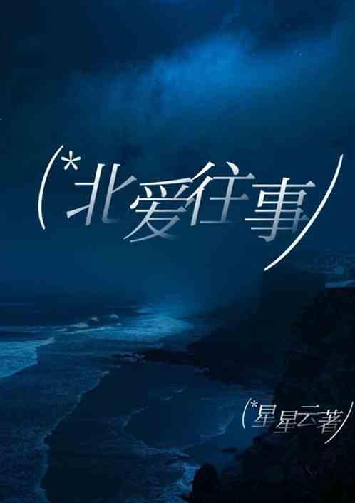 北爱剧情介绍