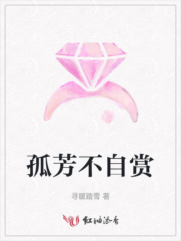 孤芳不自赏歌词