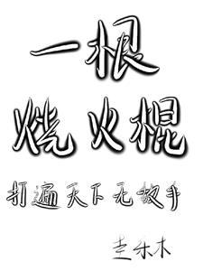 烧火棍价位
