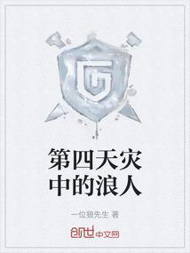 第4天灾什么意思