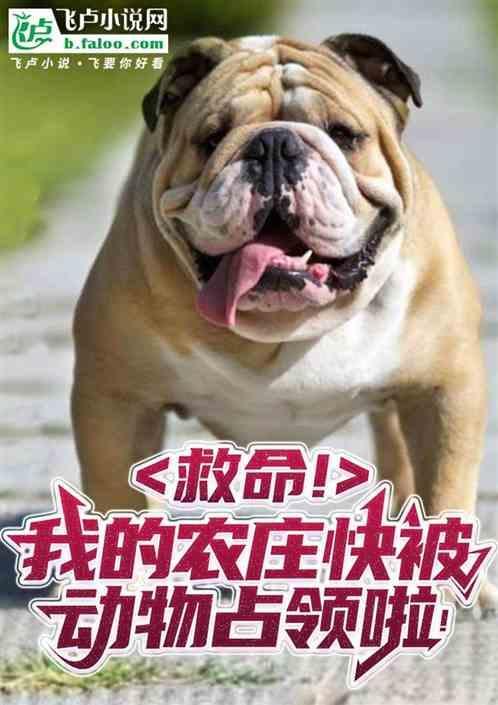 我的农庄小院