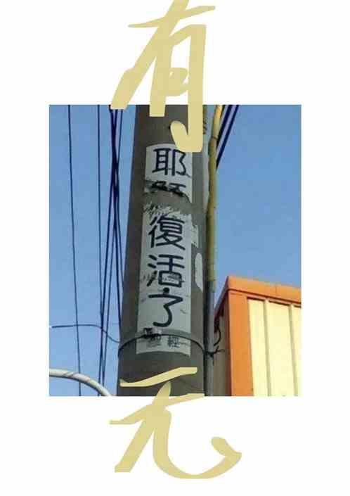 有无脚脖子区别图