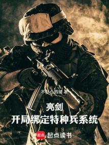 开局亮剑签到