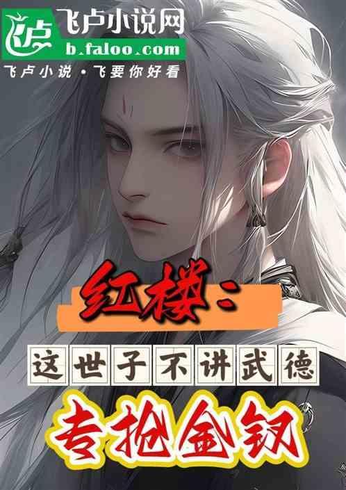 红楼这世子不讲武德