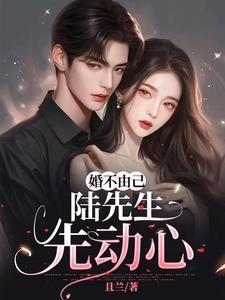 婚不由己 陆总晚上好