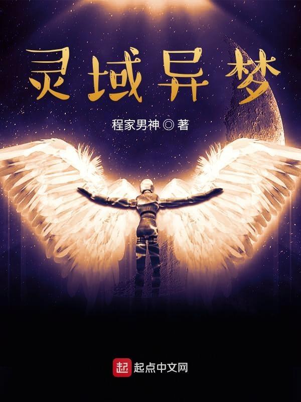 灵域新书