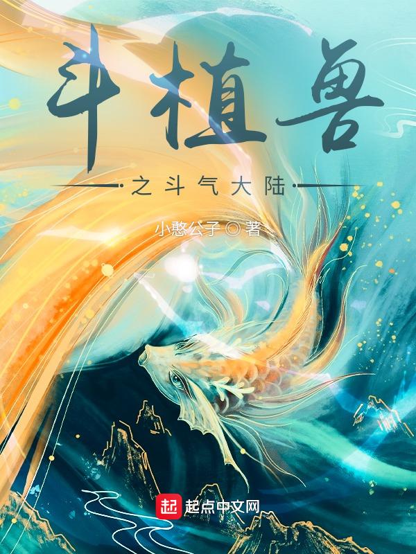 斗气大陆4
