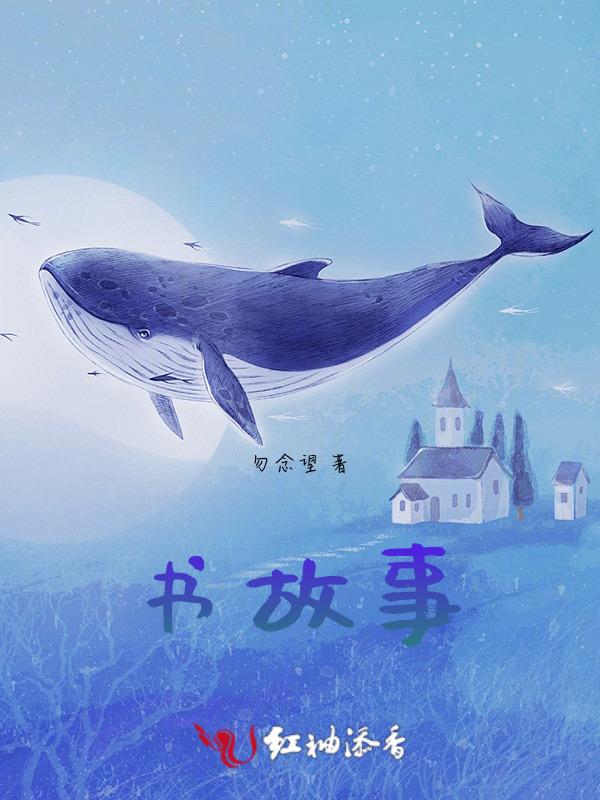 书故事的提纲