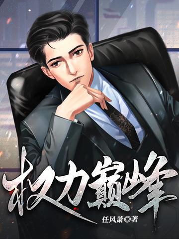 权力巅峰免费阅官途读全文