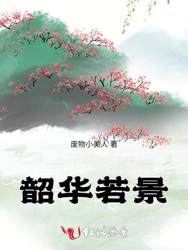 韶华若锦电视剧