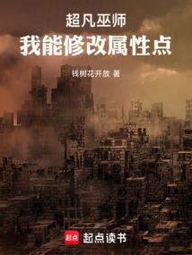 巫师超凡者领域碎片