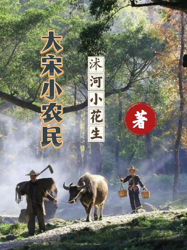 大宋小吏全文免费阅读