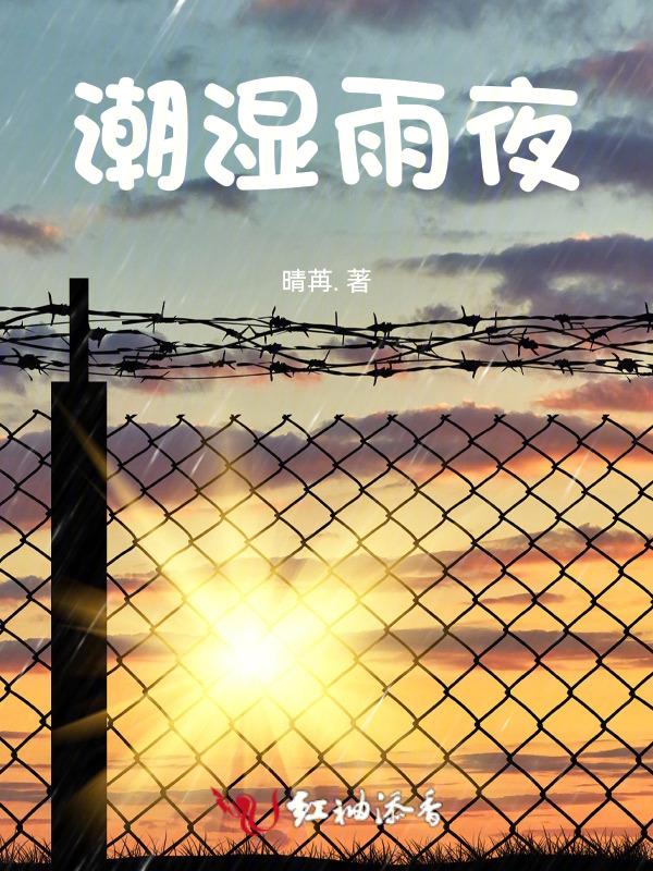 夜晚潮湿是什么诗