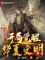 穿越明朝开局觉醒华夏文明 从一数到三