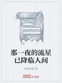 流星经过的那一夜