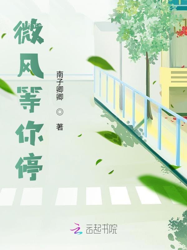 歌词 的微风