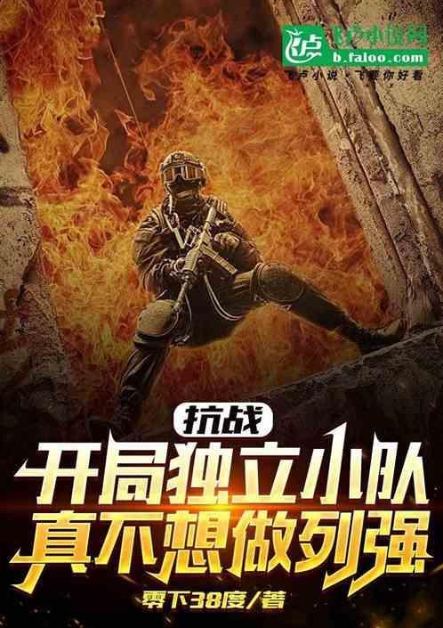 抗战之独立纵队