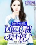 蚀骨总裁宠强妻