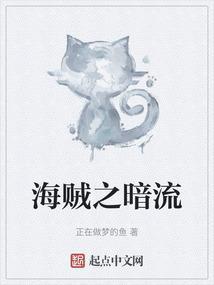 海贼王之暗暗