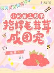 小凤凰是什么