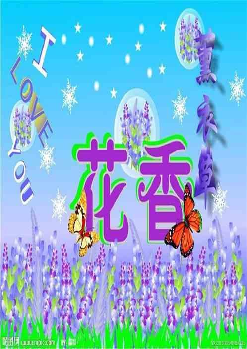 薰衣草的夏天的意思