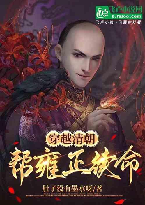 穿越大清之雍正