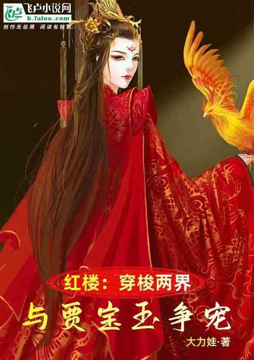 穿越红楼梦贾宝玉的