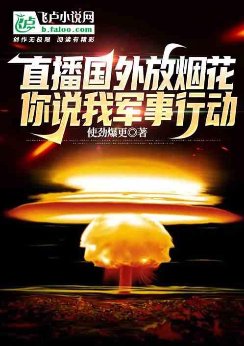 老外放大烟花视频