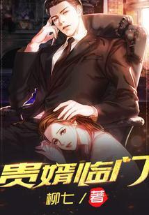 贵婿临门周毅更新