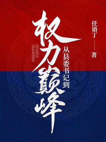 从县委书记到权力巅峰TXT