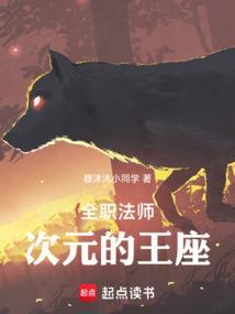 全职法师次元召唤兽