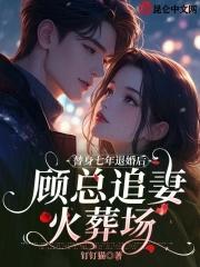 顾清替身