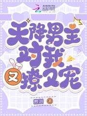 天降男主免费观看