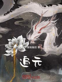 追元