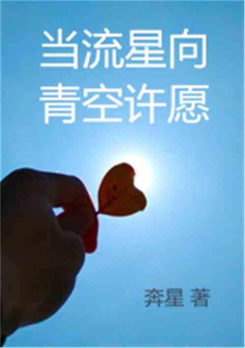 当流星向青空许愿