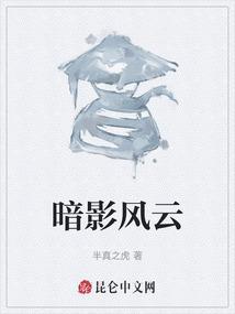 暗影风云