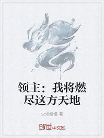 领主：我将燃尽这方天地