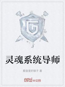 灵魂系统导师