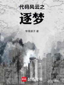 代码风云之逐梦