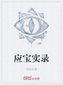 应宝实录
